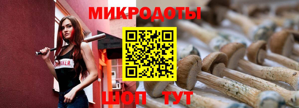 Псилоцибиновые грибы Cubensis  Вход с VPN  Тосно 